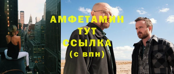 хмурый Абаза