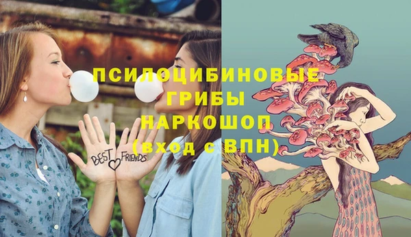 хмурый Абаза