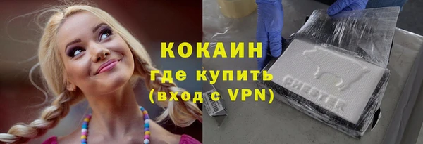 крисы Мегион