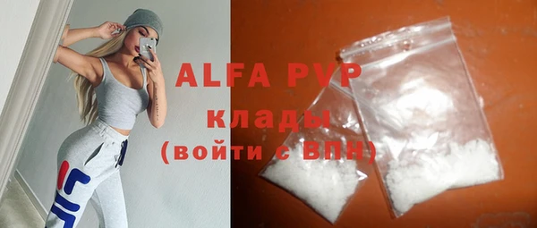 хмурый Абаза
