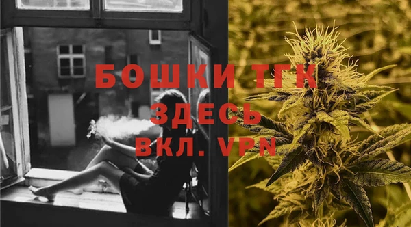 хмурый Абаза