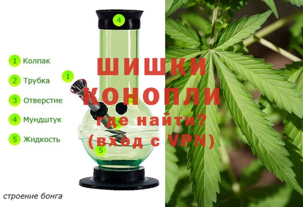 хмурый Абаза