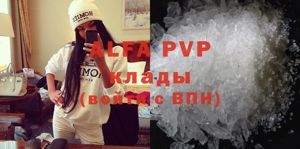 хмурый Абаза