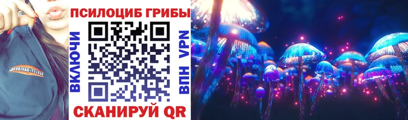 Псилоцибиновые грибы Psilocybine cubensis  Стерлитамак 